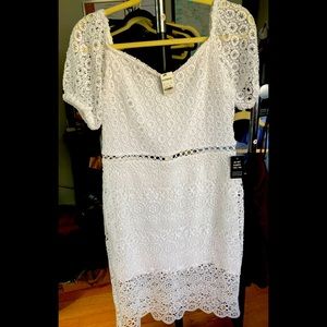 Express white lace midi dress